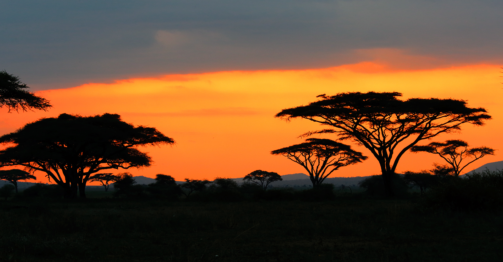 Tanzania sus animales y paisajes (Parte I)