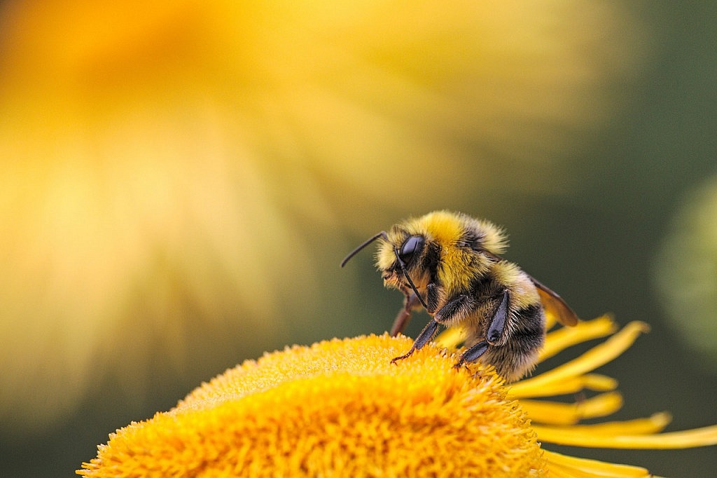 8 errores en fotografía de naturaleza que puedes estar cometiendo sin darte cuenta