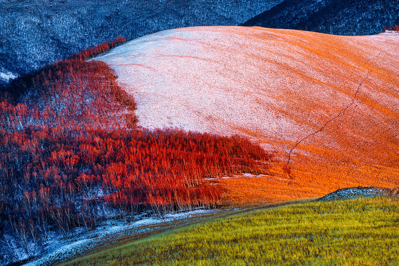 Estas son las mejores fotografías de jardines, plantas y flores según el concurso International Garden Photographer of the Year