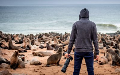 Cómo ser un Fotógrafo Concienciado con el Medio Ambiente