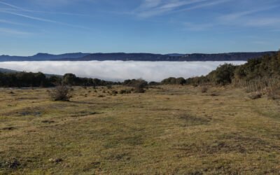 Kedada a Orduña