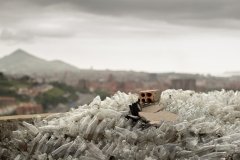 Naturaleza urbana