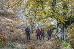 IMG-20161120-WA0022