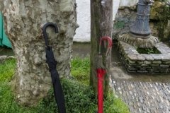 Bego_CAN_11654_02042017