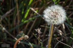 TXM5_00949_170423